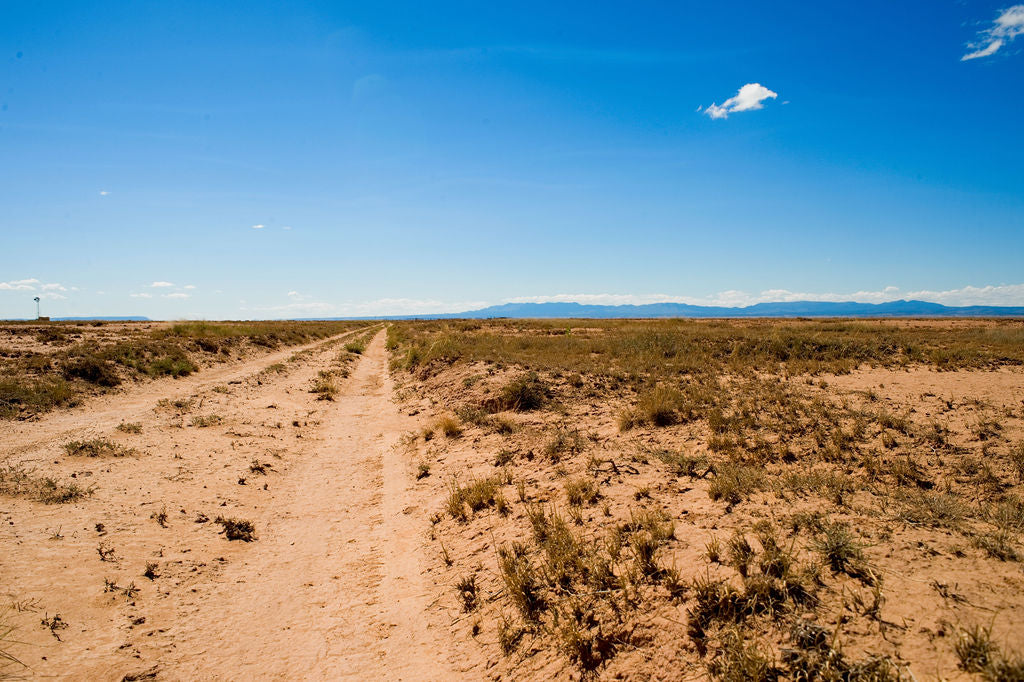 40 Acres of Dream Countryside Land - Lowest/Best price for 40 acres in Torrance County, NM